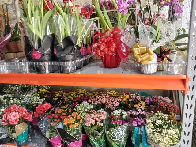 Flores