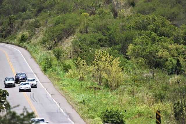 rodovias - ultapassagem - PRF - veículos carros