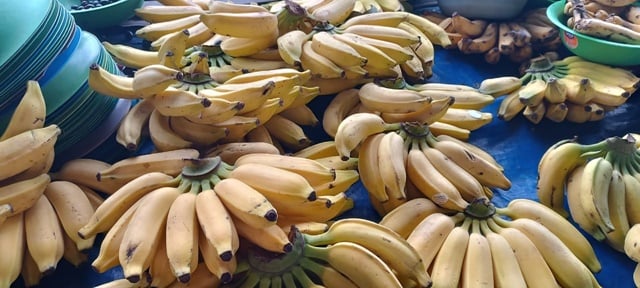 Banana Prata