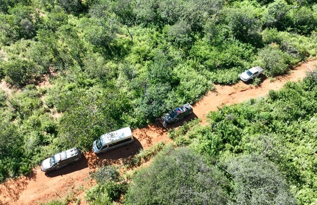 Polícia Federal realiza erradicação de plantios de maconha no norte da Bahia