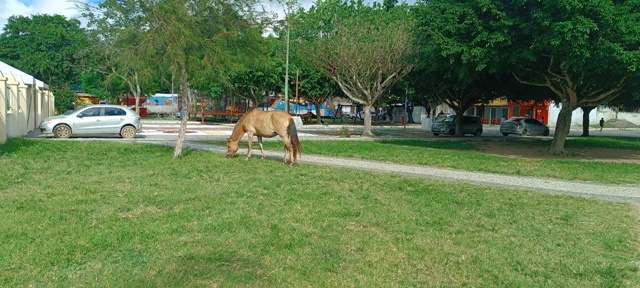 Praça de São José