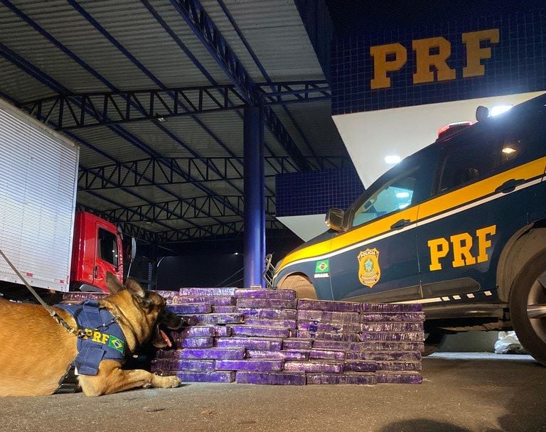 Polícia Rodoviária Federal PRF drogas 