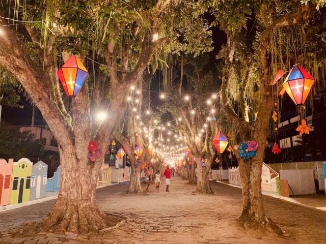 Jardim do Forró são Gonçalo dos campos