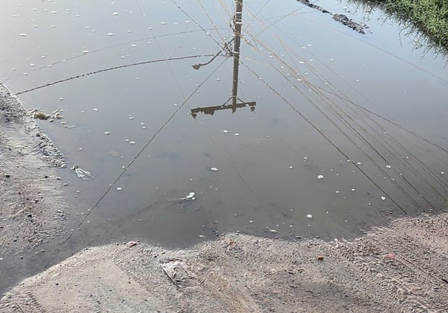 Flagrantes do WhatsApp