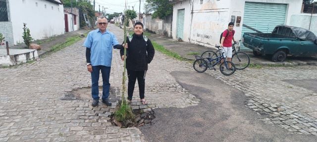 Buraco com pé de Cana-de-açúcar na Rua Maguari, Parque Ipê