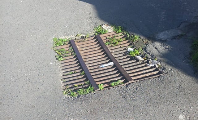 Flagrantes do WhatsApp