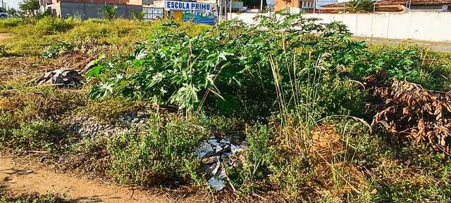 Moradores reclamam da falta de limpeza e de iluminação em terreno no bairro Conceição (5)