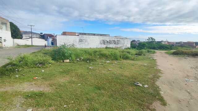 Moradores relatam medo devido a cobras e escorpiões em terreno baldio (6)
