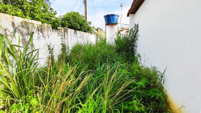 mato escola terra dura (4)