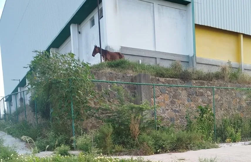 Bairro Gabriela