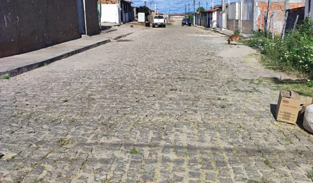 Campo do Gado Novo