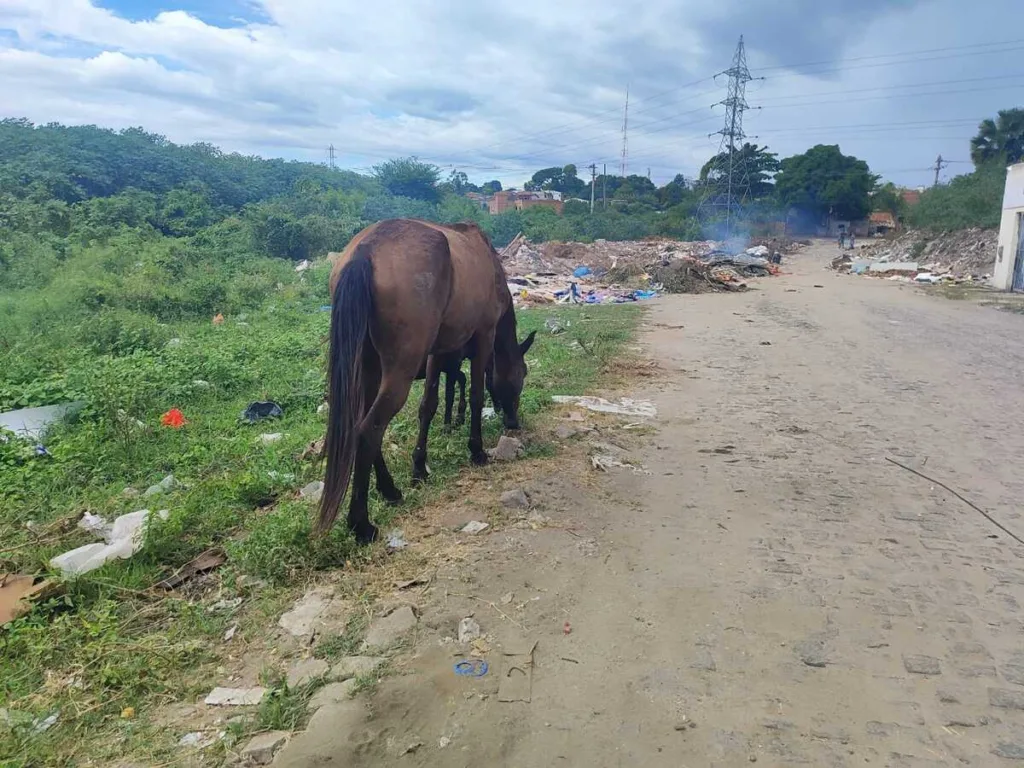 lixão no bairro Jardim Acácia
