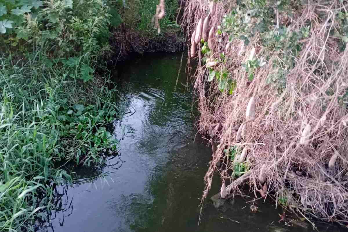 Córrego que atravessa a Avenida Antônio Sérgio Carneiro até o bairro Jardim Brasil