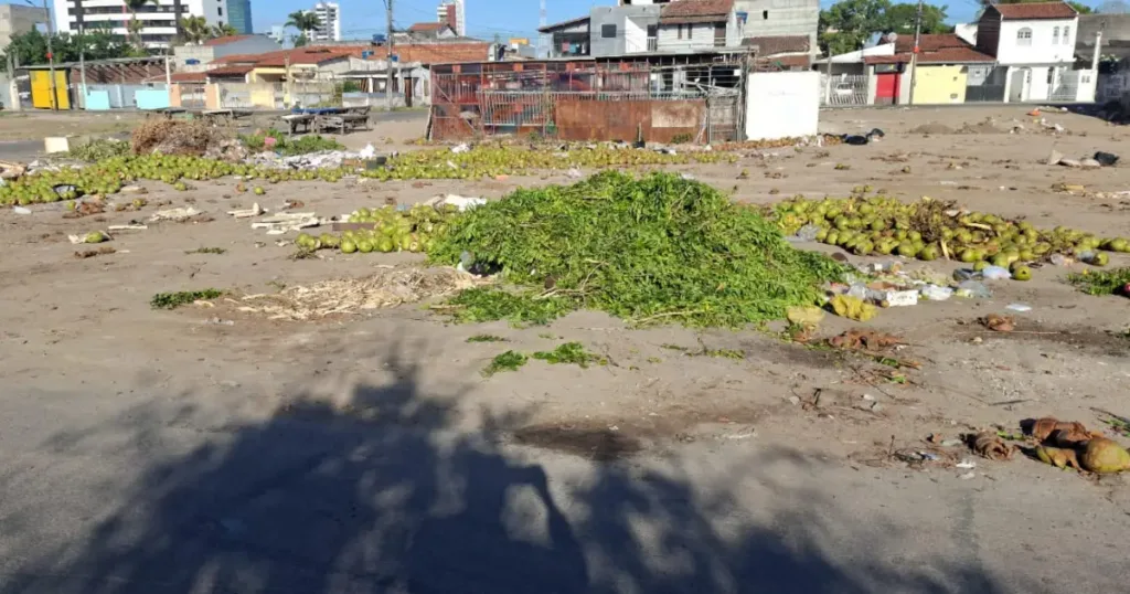 Rua Finlândia - descarte irregular de lixo