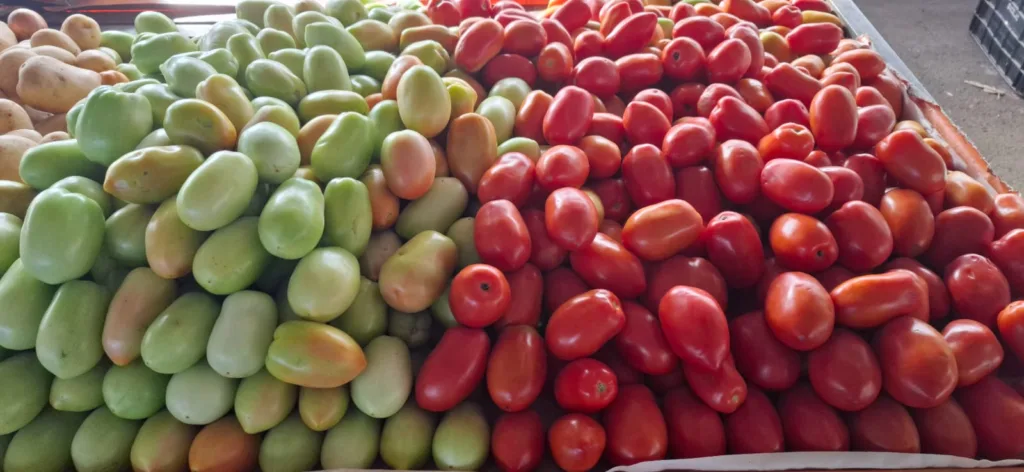 tomate cebola e pimentão