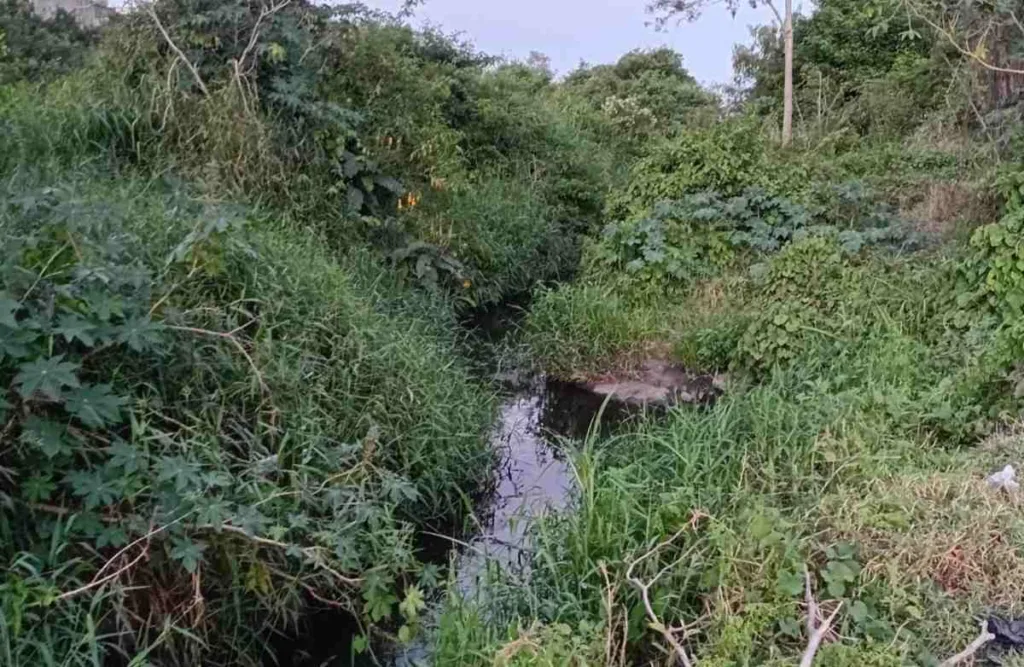 Córrego abandonado que atravessa a Avenida Antônio Sérgio Carneiro até o bairro Jardim Brasil