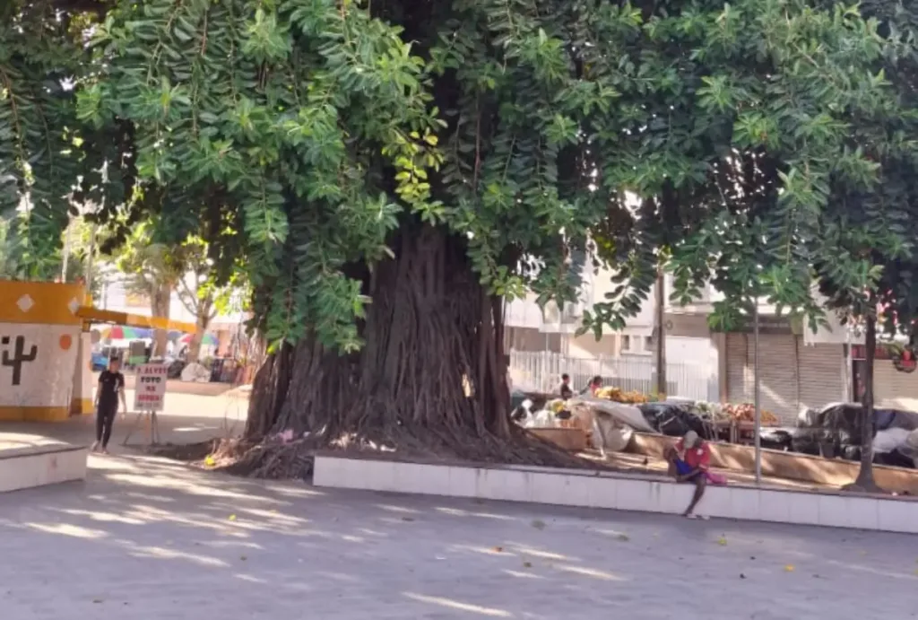 Praça Bernardino Bahia