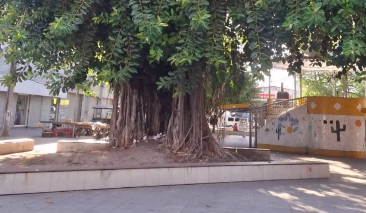 Praça Bernardino Bahia