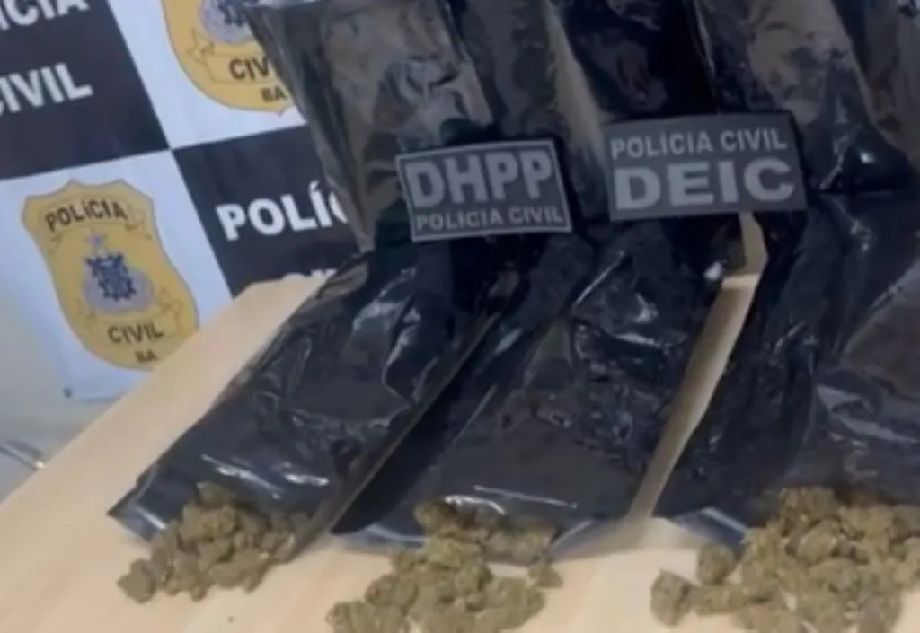 Polícia intercepta carga de drogas que abasteceria a Micareta