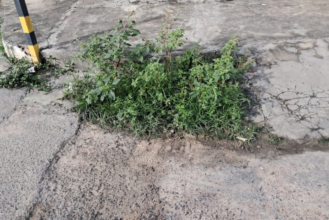 Descarte irregular de lixo nas ruas do bairro Queimadinha