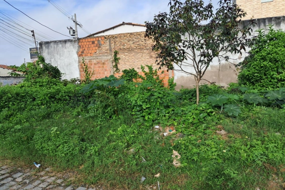 Descarte irregular de lixo nas ruas do bairro Queimadinha