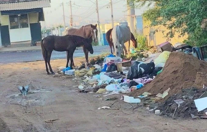Bairro Mangabeira