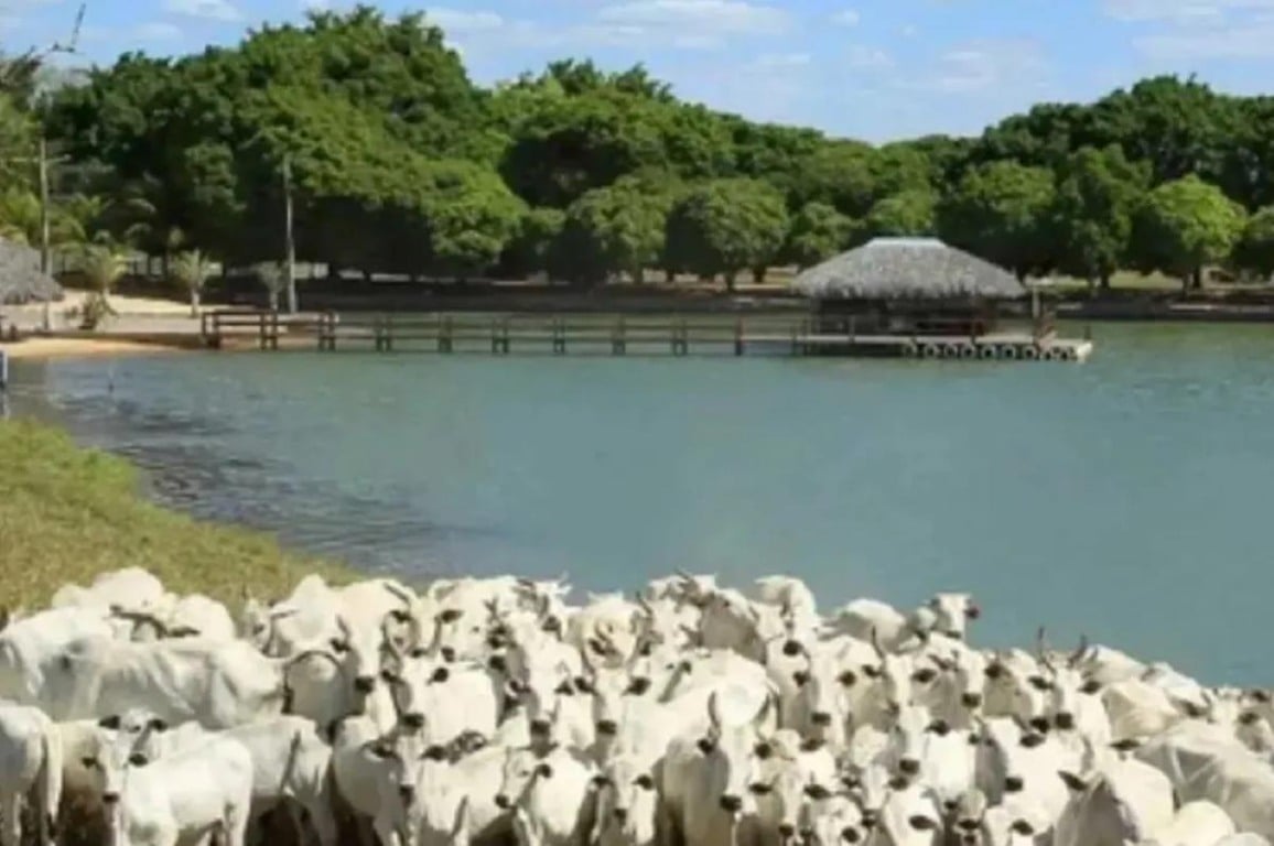 De origens simples a patrimônios de luxo; confira conquistas de cantores sertanejos