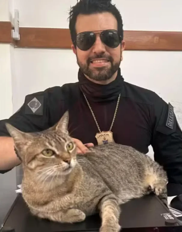 Conheça a história da gatinha que virou mascote de delegacia em Feira de Santana