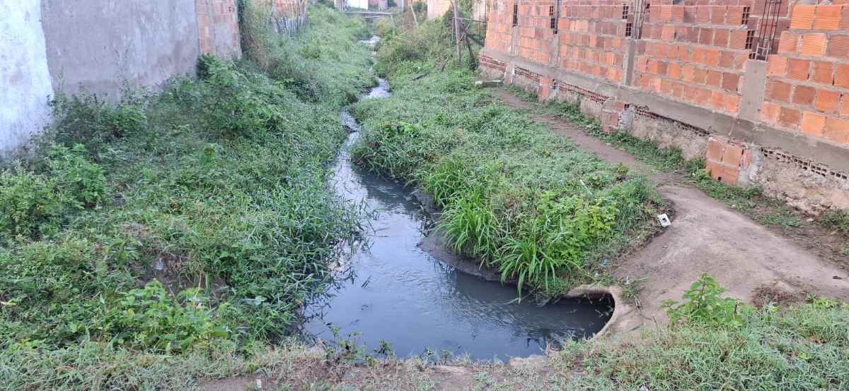 Moradores denunciam mau cheiro vindo esgoto que desagua em córrego no bairro Aviário