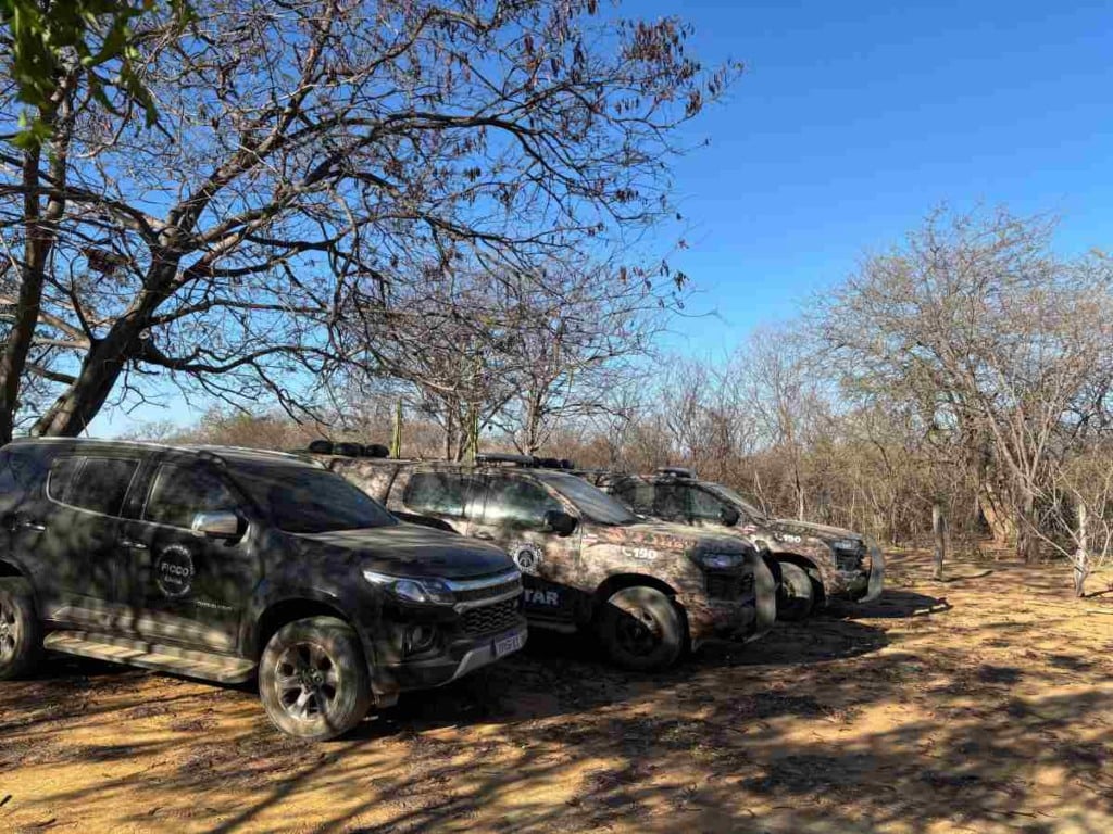 Plantação de Maconha