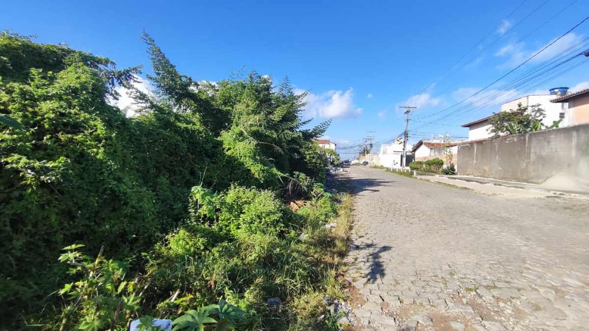 Moradores cobram limpeza e fiscalização de terreno no bairro Santa Mônica