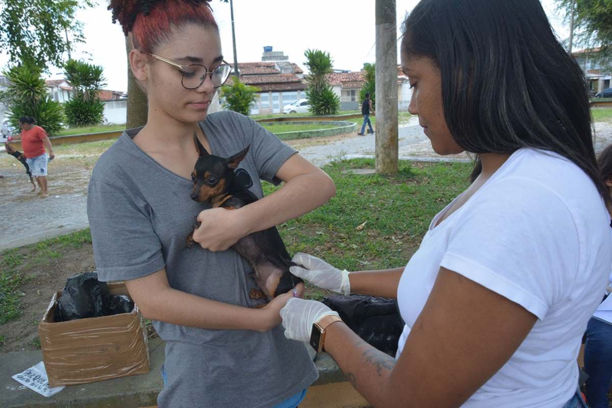 Vacina contra raiva para cães e gatos