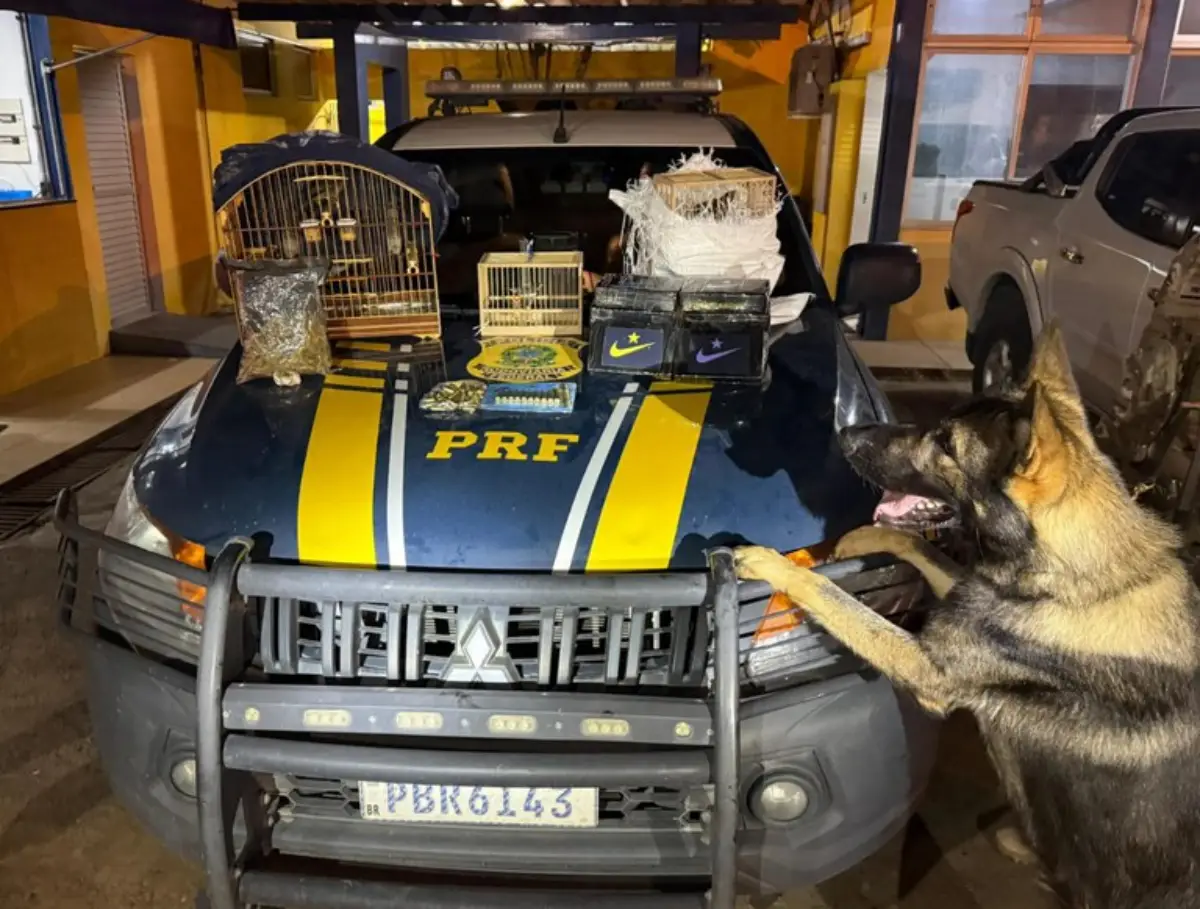 Apreensão da PRF