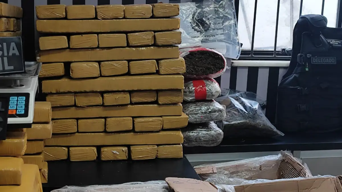 Quase 300 quilos de maconha é apreendida em residência no bairro Mangabeira, em Feira de Santana