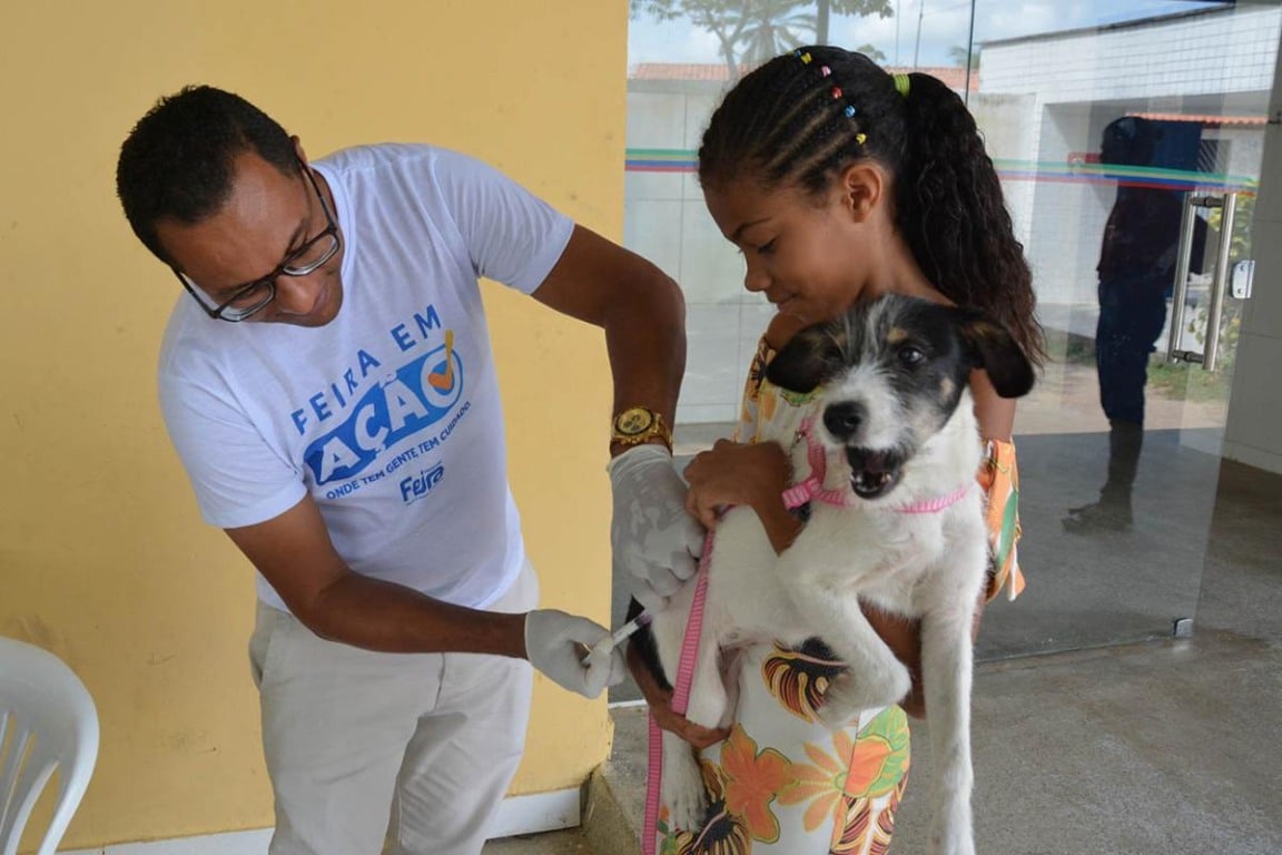 Feira em Ação em Bonfim de Feira