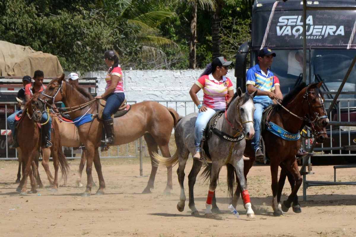 37ª Festa do Vaqueiro do povoado Alecrim Miúdo acontece no próximo fim de semana