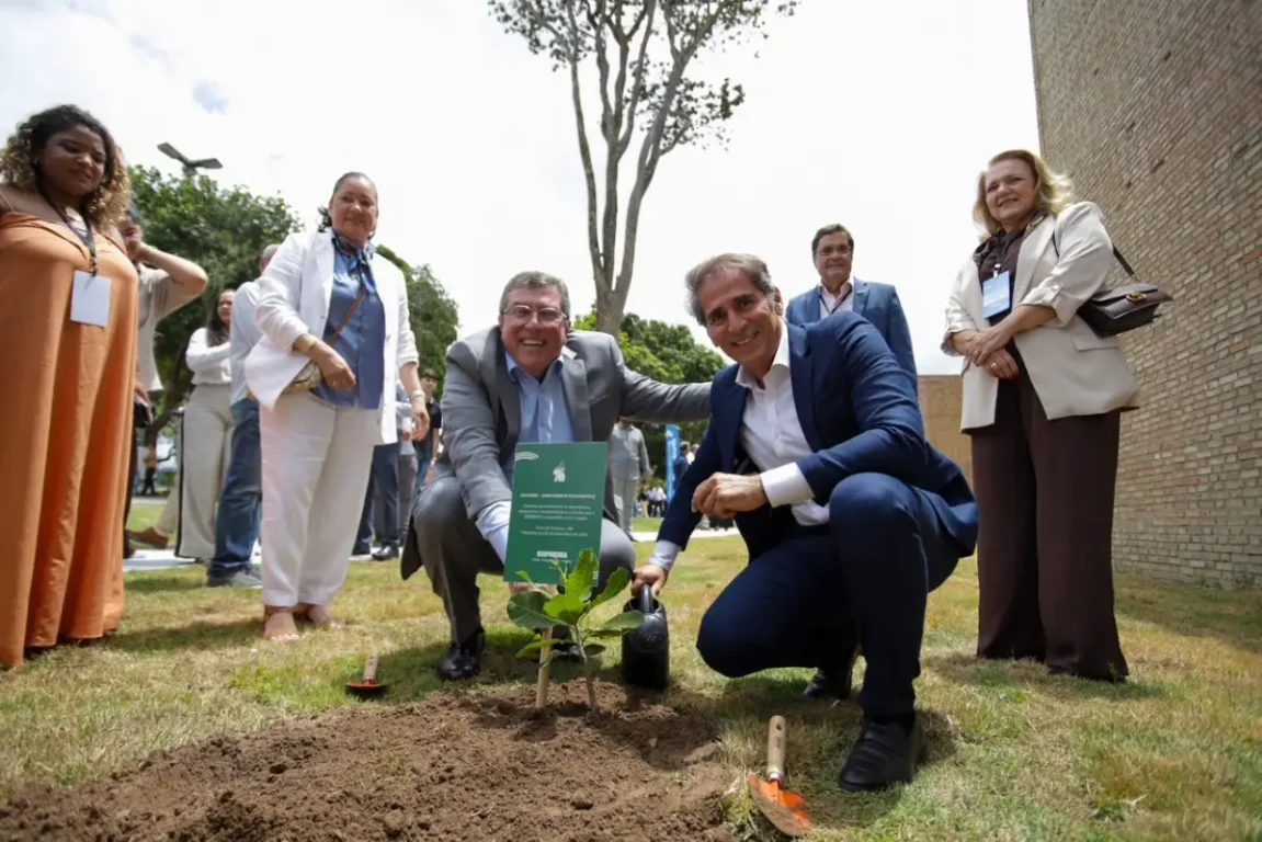 Megafábrica inaugurada em Feira de Santana amplia produção - Soprema