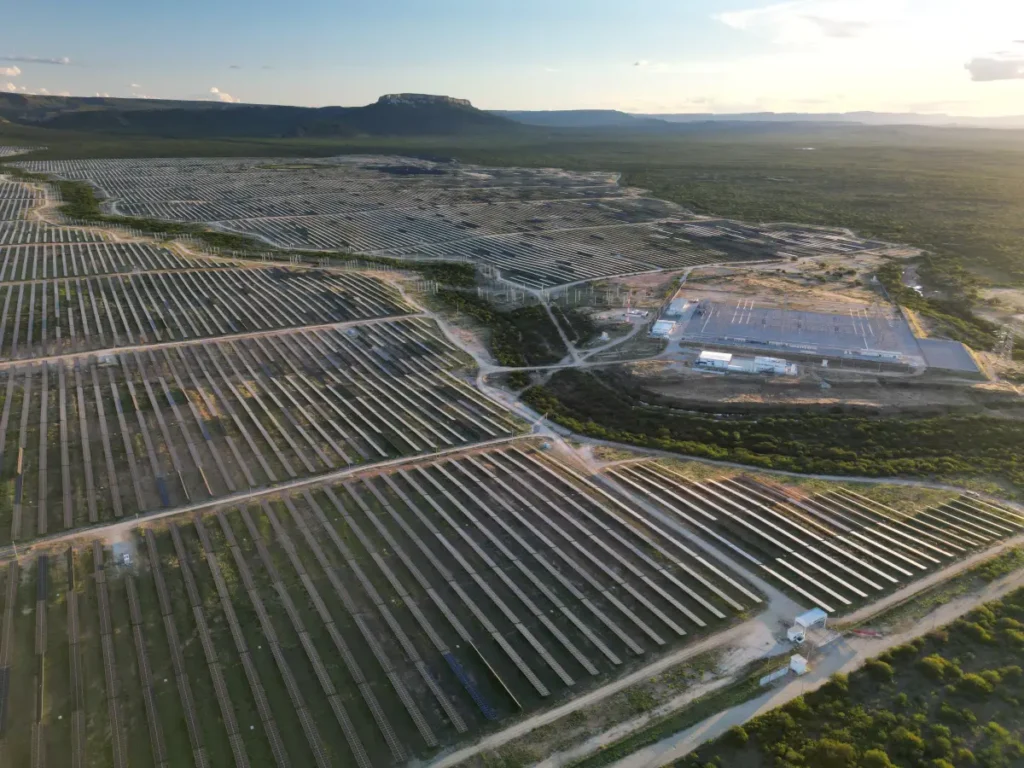 Bahia é o estado do Nordeste que mais perde Caatinga para usinas solares
