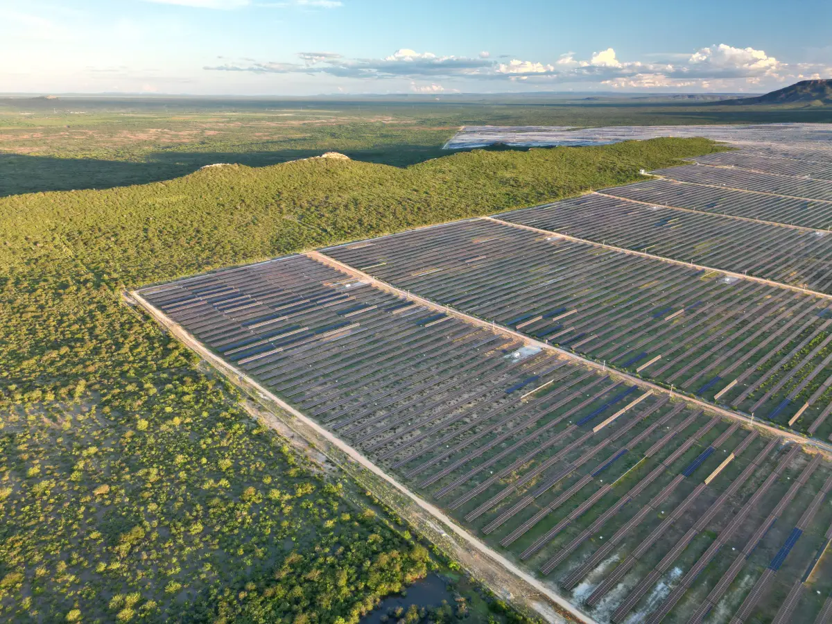 Bahia é o estado do Nordeste que mais perde Caatinga para usinas solares