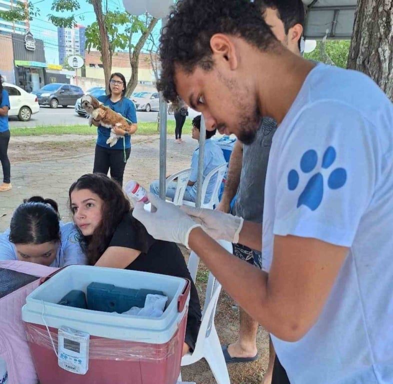 Projeto Quatro Patas oferece alimento e acolhimento para animais abandonados em Feira de Santana 