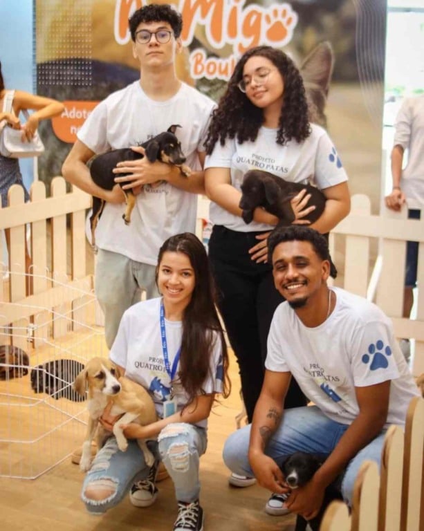 Projeto Quatro Patas oferece alimento e acolhimento para animais abandonados em Feira de Santana 