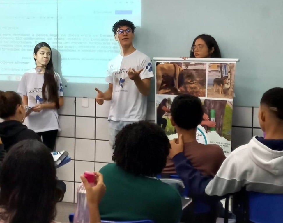 Projeto Quatro Patas oferece alimento e acolhimento para animais abandonados em Feira de Santana 