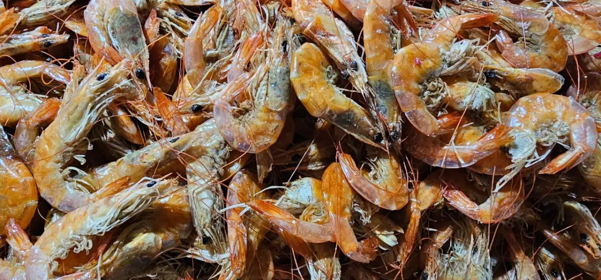 Preço do quiabo “pipoca”, mas devoção pela tradição do Caruru de São Cosme e Damião garante vendas