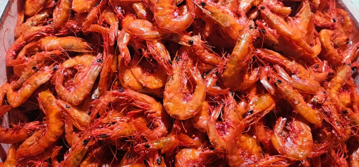 Preço do quiabo “pipoca”, mas devoção pela tradição do Caruru de São Cosme e Damião garante vendas