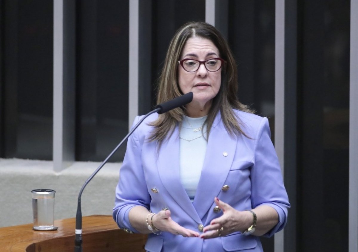 Deputada Rogéria Santos propõe inclusão de mensagens contra violência à mulher em rótulos de bebidas alcoólicas