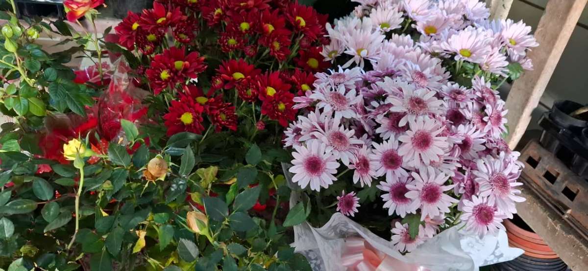 Dia do Florista: quando a paixão pelas flores vira profissão que encanta todos os dias