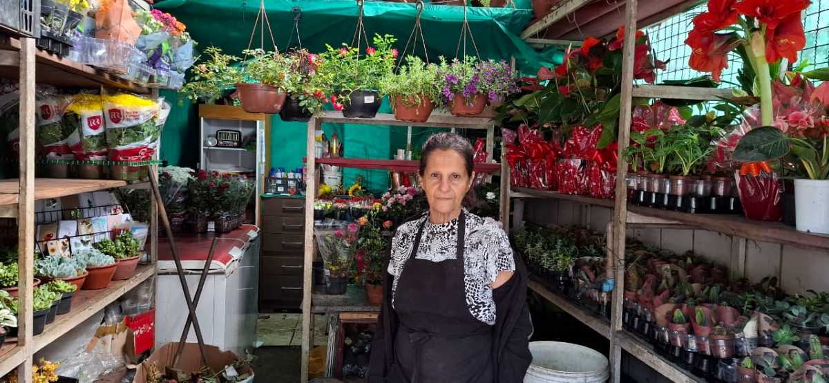 Dia do Florista: quando a paixão pelas flores vira profissão que encanta todos os dias