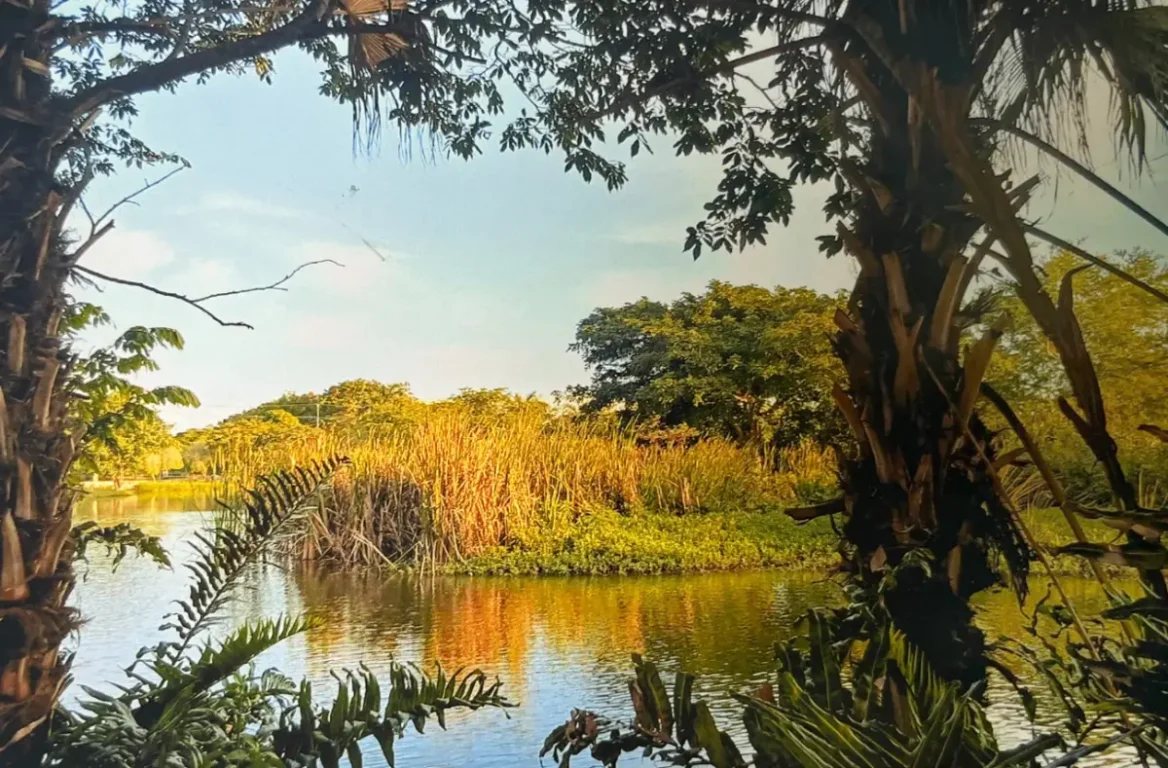 Divulgado resultado do Concurso de Fotografia de Lagoas de Feira de Santana