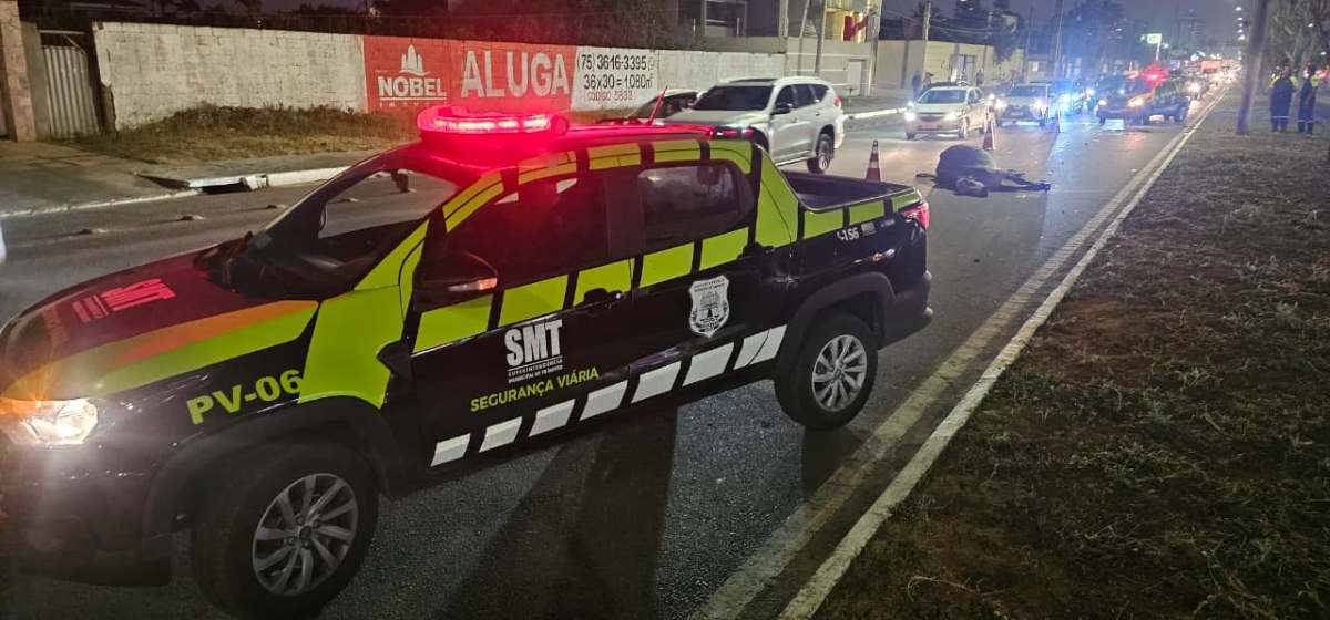 Carro atinge duas vacas soltas na Avenida Noide Cerqueira2