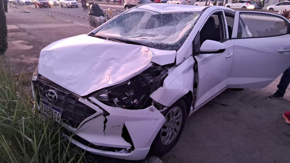 Carro atinge duas vacas soltas na Avenida Noide Cerqueira6